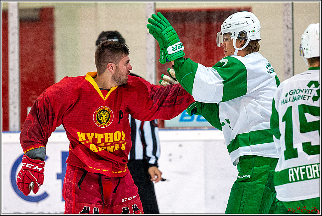 Koeln Cup 2019, Roegle BK- SCL-Tigers Langnau 3-2, 16.08.2019